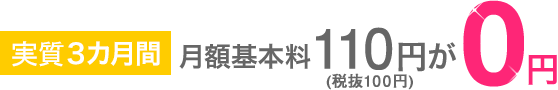 ３カ月間 月額基本料110円（税抜100円）が0円